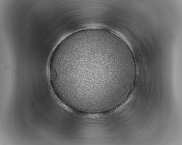 X0000112020843200908171428