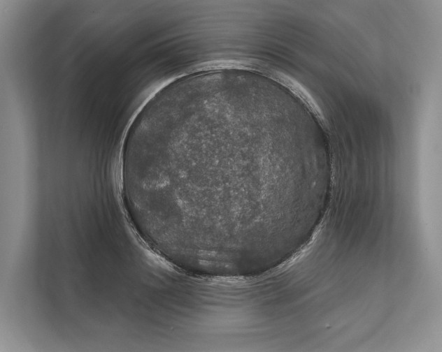 X0000112020844200908171428