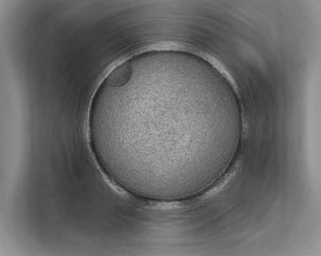 X0000112020845200908171428