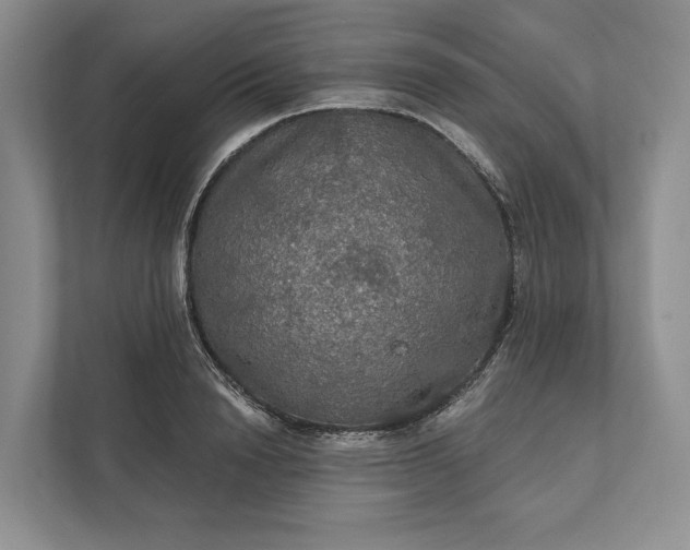 X0000112020846200908171428