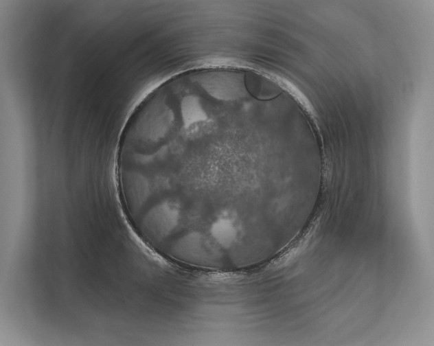 X0000112020847200908171428