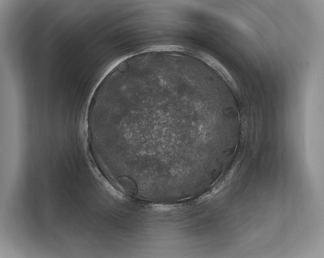 X0000112020852200908171428