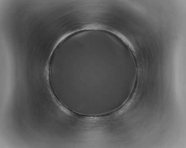 X0000112020854200908171428