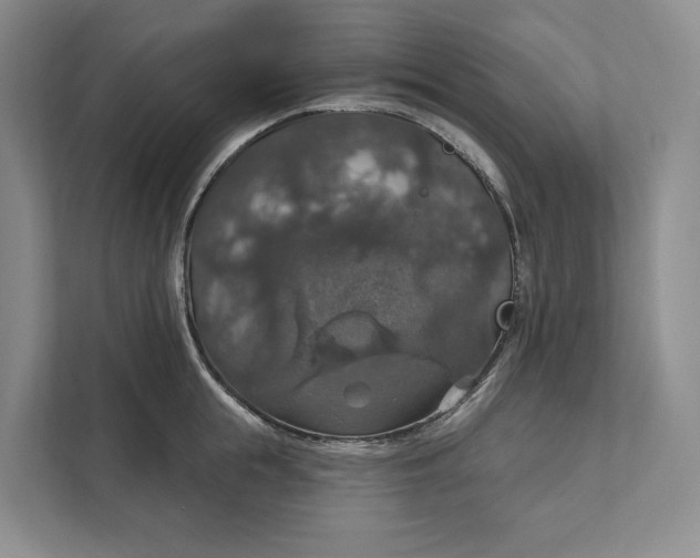 X0000112020855200908171428