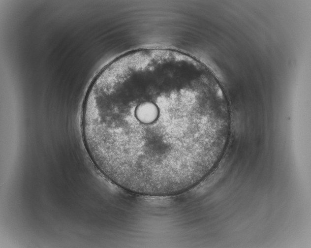 X0000112020856200908171428