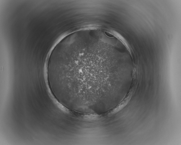 X0000112020859200908171428