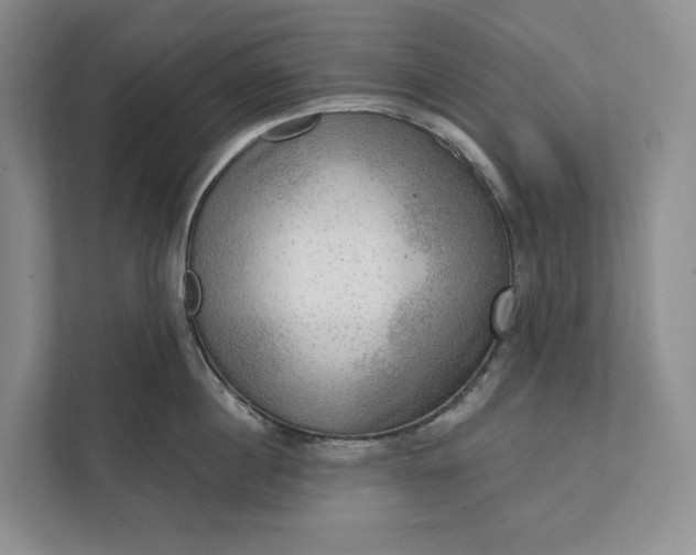 X0000112020860200908171428