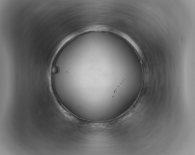 X0000112020861200908171428