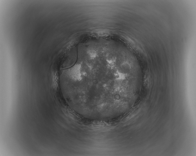 X0000112020866200908171428