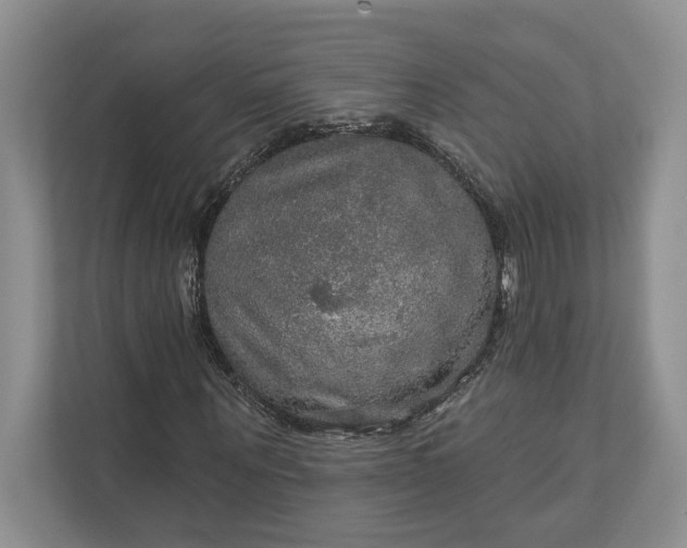 X0000112020867200908171428