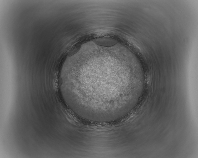 X0000112020868200908171428