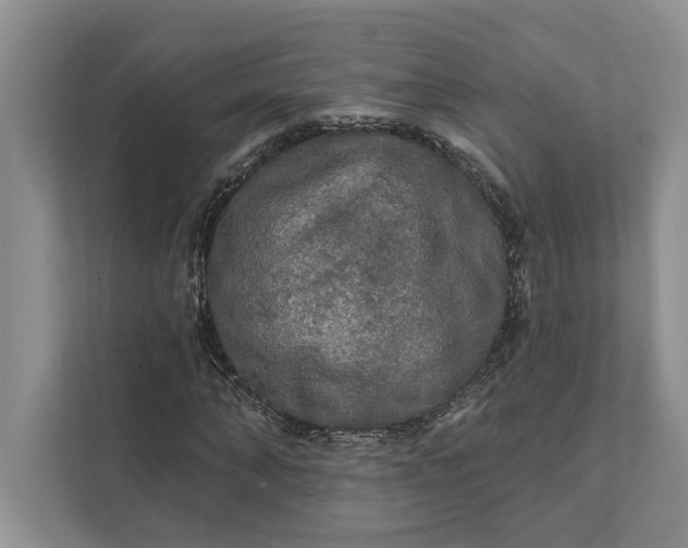 X0000112020870200908171428