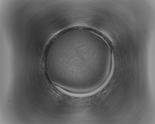 X0000112020872200908171428