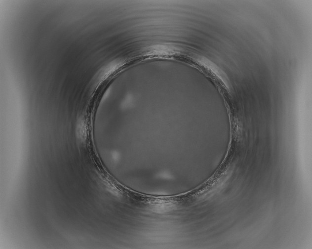 X0000112020874200908171428