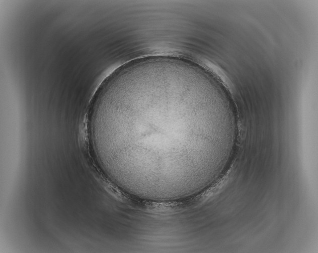 X0000112020875200908171428