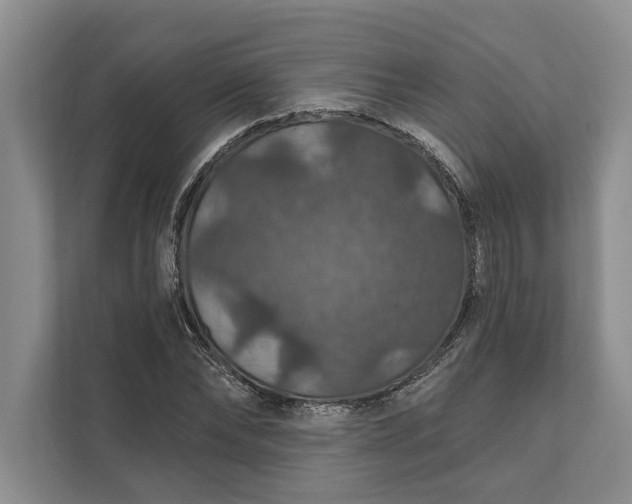 X0000112020878200908171428