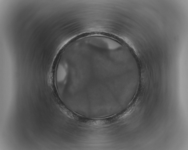 X0000112020879200908171428