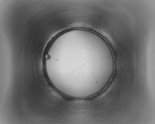 X0000112020880200908171428