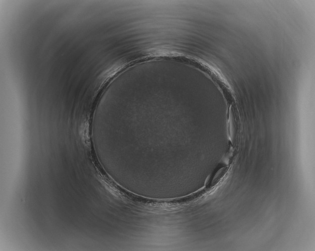 X0000112020881200908171428