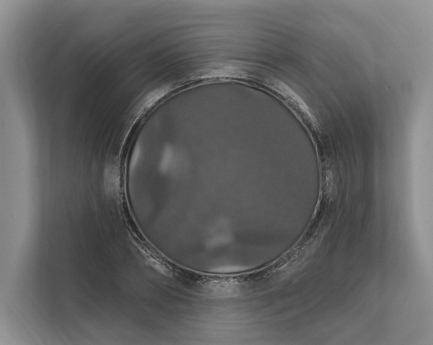 X0000112020882200908171428