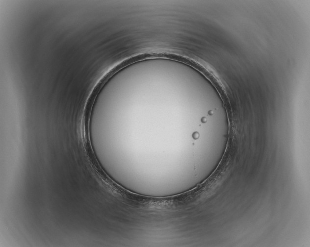 X0000112020887200908171428