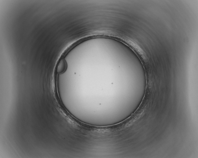 X0000112020888200908171428