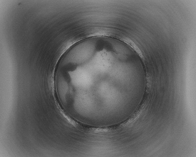 X0000112020890200908171428