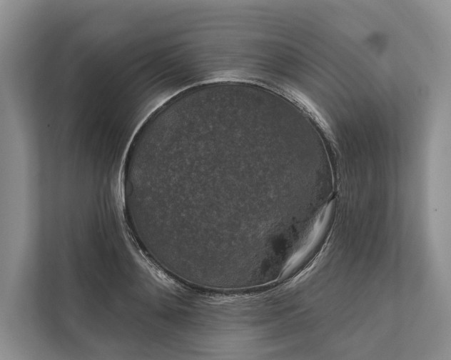 X0000112020892200908171428