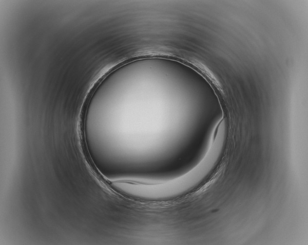 X0000112020893200908171428