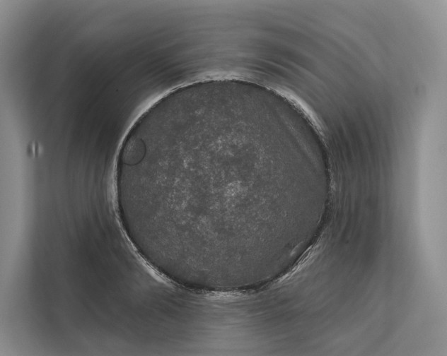 X0000112020894200908171428