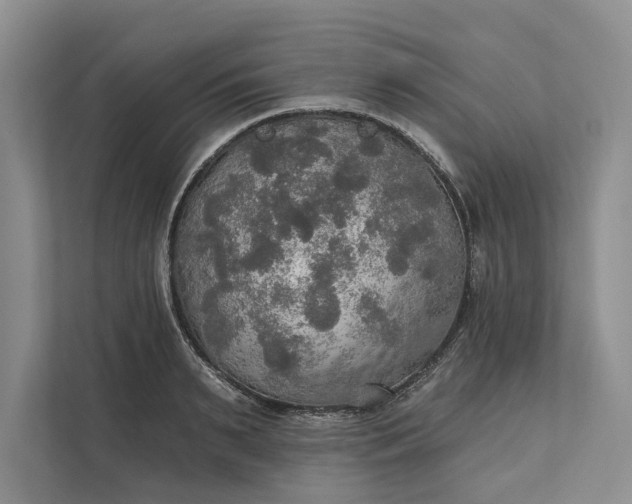 X0000112020895200908171427