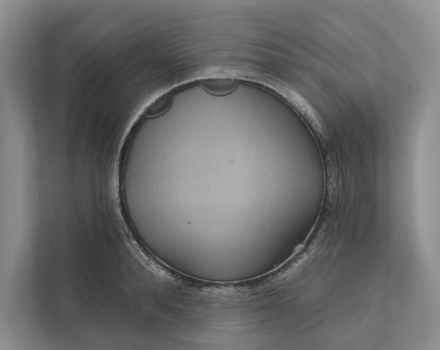 X0000112020896200908171427