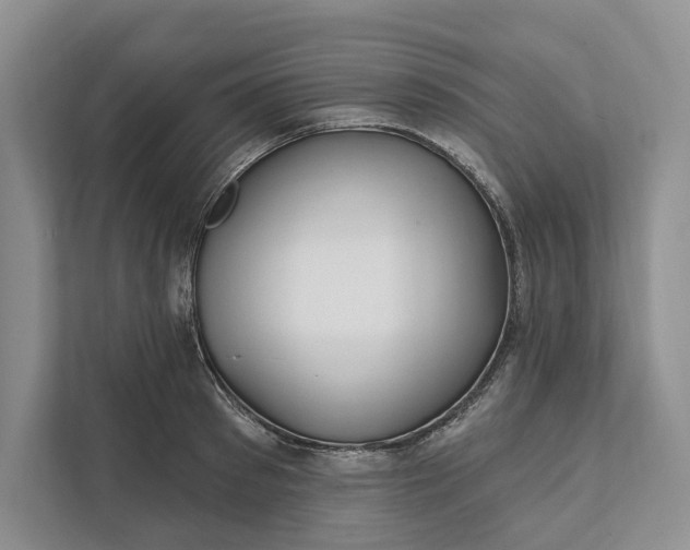 X0000112020897200908171427