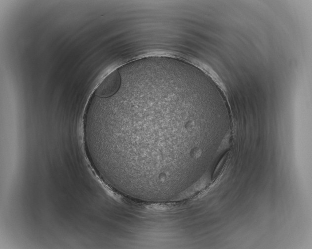 X0000112020898200908171427