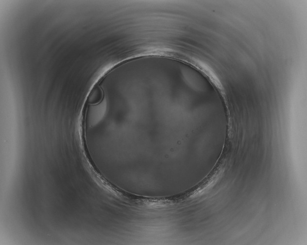 X0000112020899200908171427