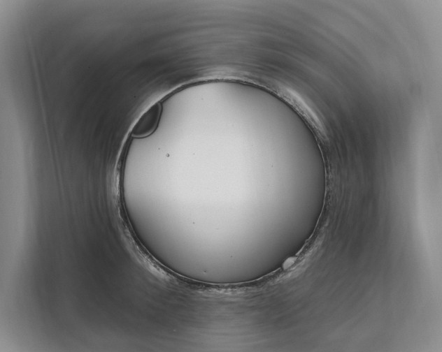 X0000112020900200908171427