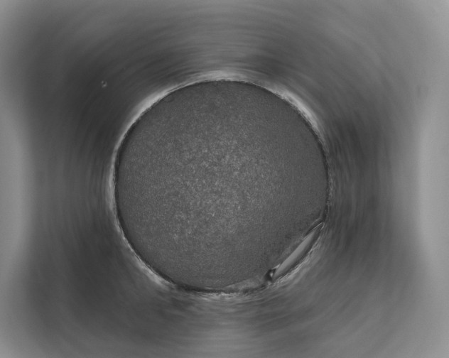 X0000112020902200908171427