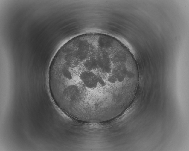 X0000112020903200908171427