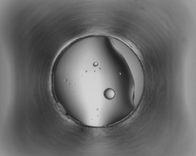 X0000112020904200908171427