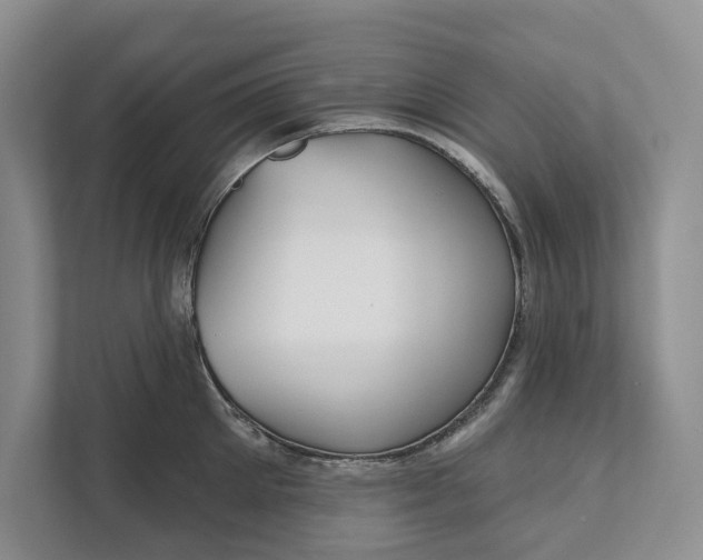 X0000112020905200908171427