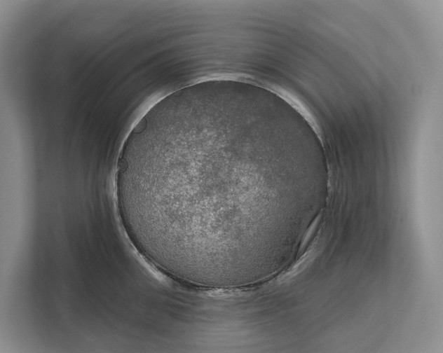 X0000112020906200908171427