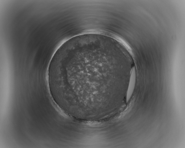 X0000112020907200908171427