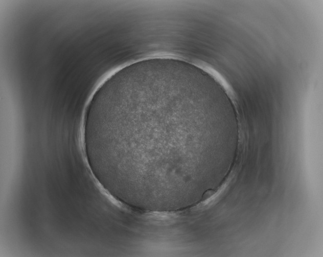 X0000112020910200908171427