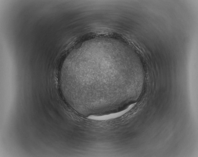 X0000112020916200908171427