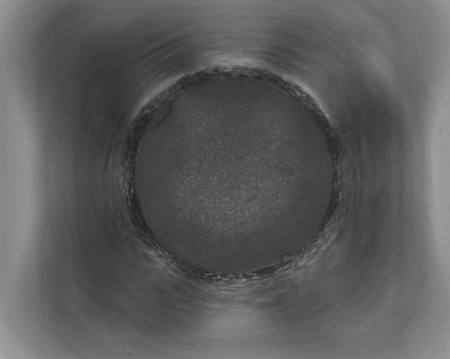 X0000112020919200908171427