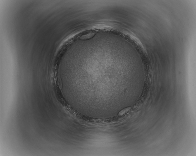 X0000112020920200908171427