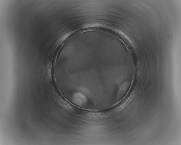 X0000112020921200908171427