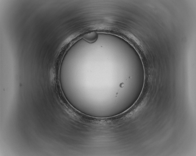 X0000112020922200908171427