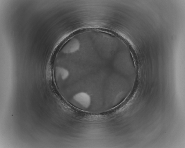 X0000112020925200908171427