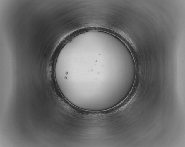 X0000112020926200908171427